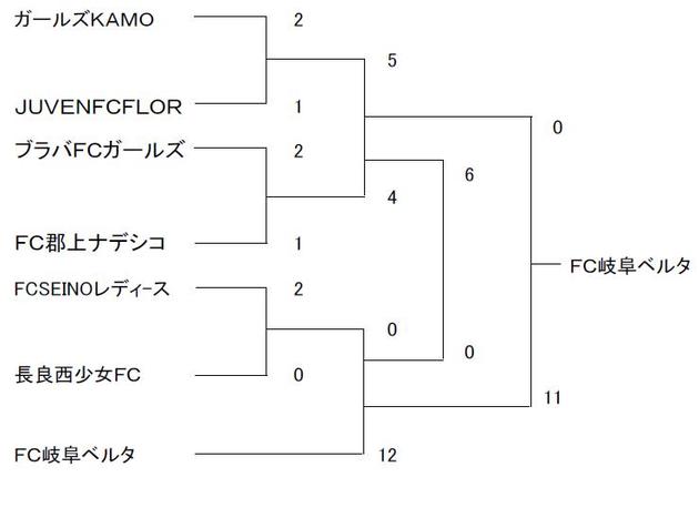 2007年岐阜県少女サッカー春季大会結果